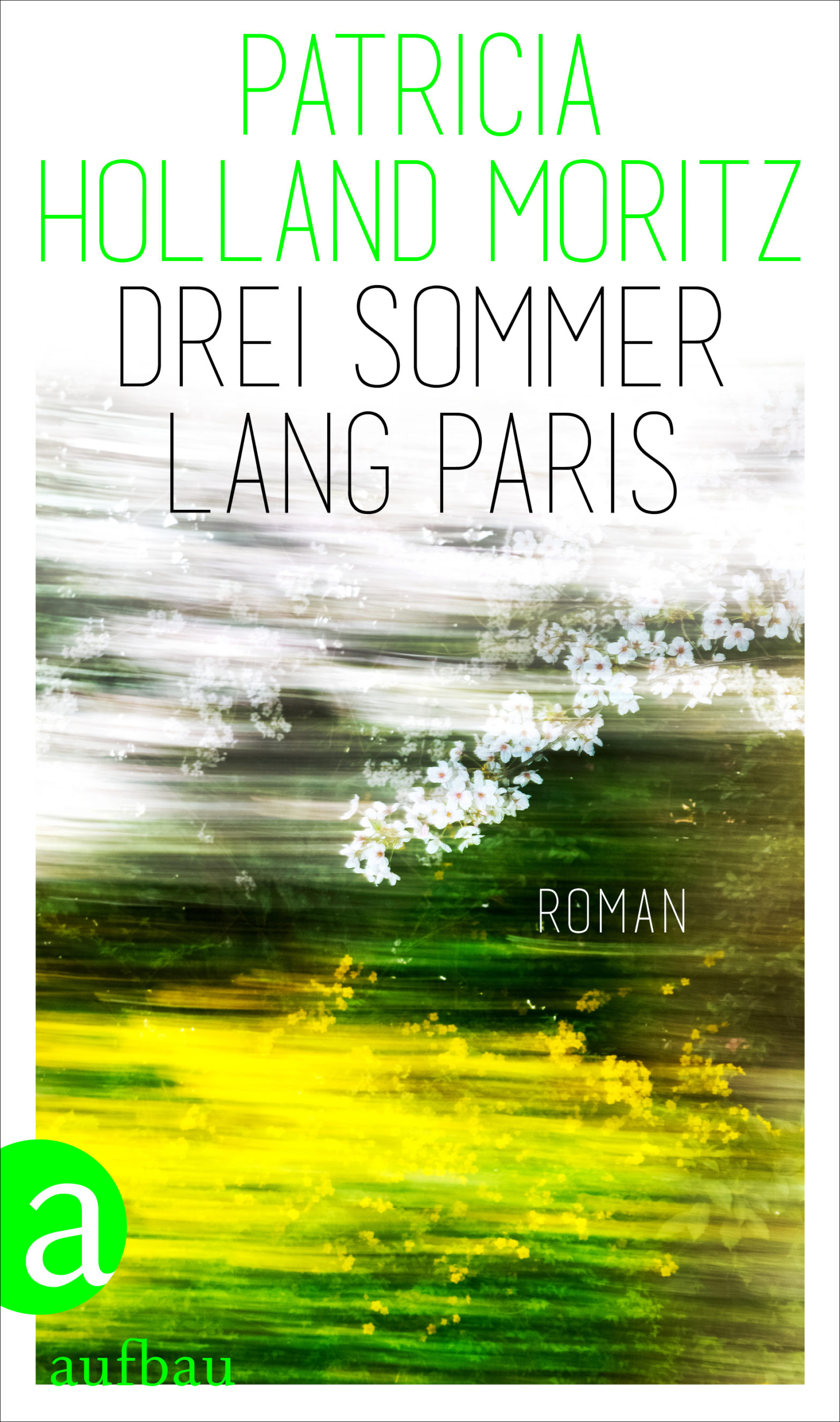 Das Cover von Patricia Holland Moritz' Roman "Drei Sommer lang Paris". Das Cover erinnert an den Blick aus einem fahrenden Zug. Eine Wiese mit Raps und einem Laubbaum sind von angedeuteter Geschwindigkeit verwaschen zu erkennen.